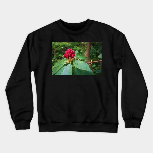 Rhododendron In Bud Crewneck Sweatshirt by RedHillDigital